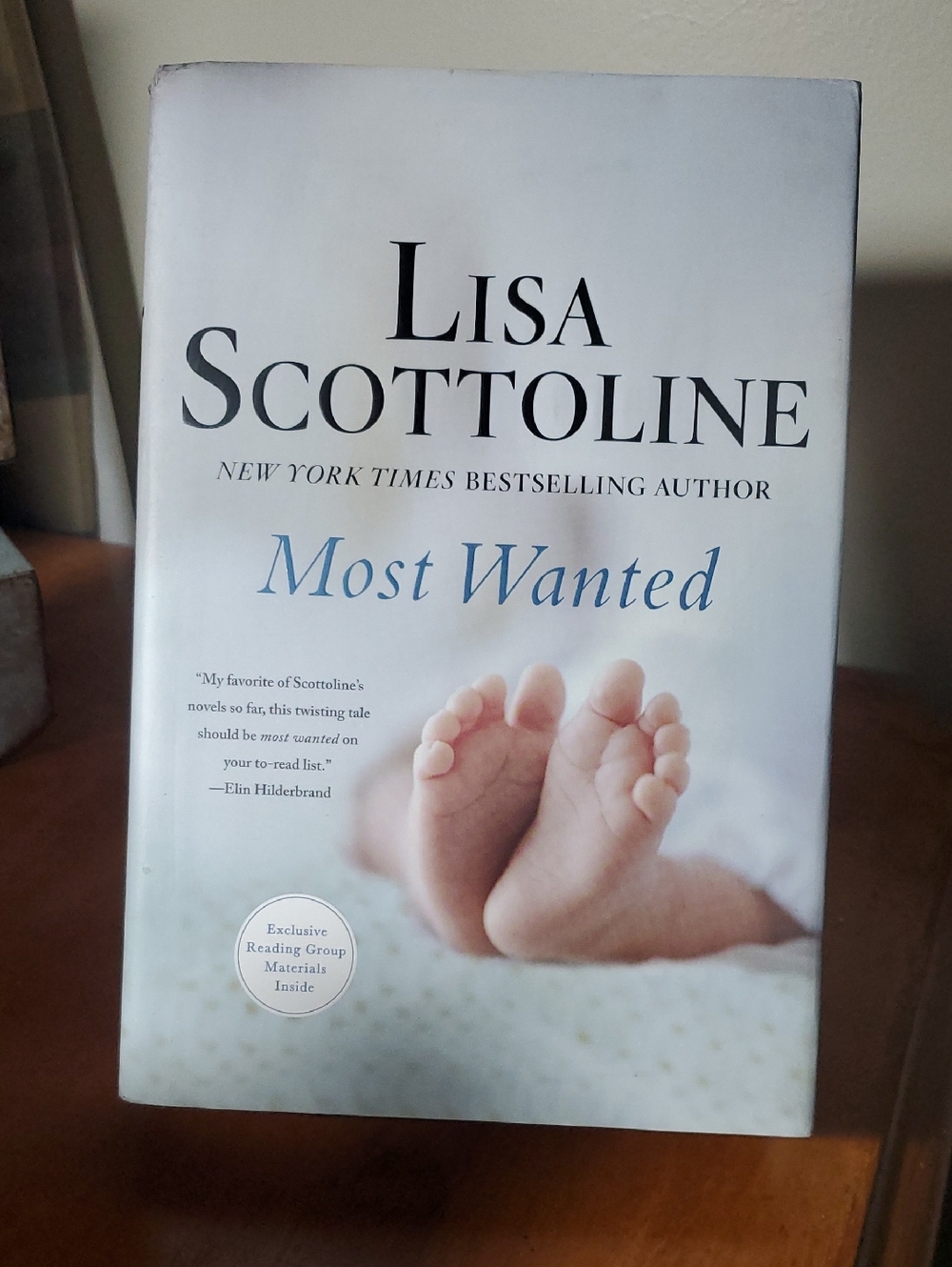 Lisa Scottoline "Most Wanted" Paperback Book - White/Light Blue Cover (11)